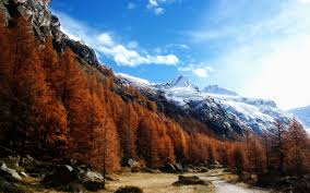 Image result for late autumn photos