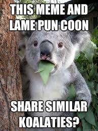 This meme and lame pun coon share similar koalaties? - koala bear ... via Relatably.com