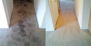 proficient clean carpet cleaning