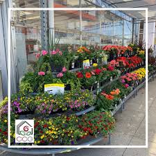 Home depot huge sale on flowers patio furniture and more. Cherry Creek Greenhouses Posts Facebook
