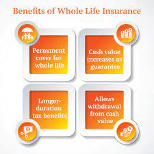 Though of course there are a few disadvantages to whole life insurance as well. 3 Situations When Whole Life Insurance Makes Perfect Sense