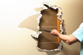Remove Mold From Drywall