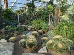 princess of wales conservatory