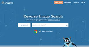 reverse image search on insram