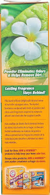 arm hammer carpet odor eliminator