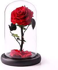 Everlasting Red Preserved Rose In A