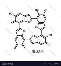 melanin structural chemical formula on