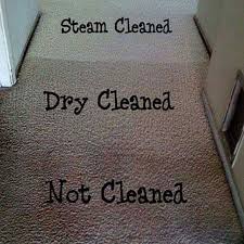 our gallery safari carpet cleaning