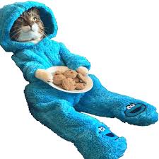 You may also like these hd dog wallpapers. Cat Wearing Cookie Monster Onesie You Re Finally Home Alone Clipart Large Size Png Image Pikpng