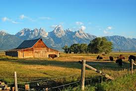 grand teton national park tours