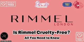 is rimmel free all you need to