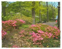 Park — scranton, lackawanna county, pennsylvania, united states, found 11 companies. Flowers
