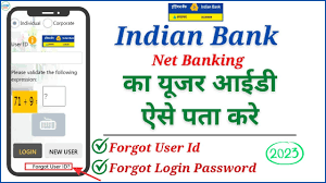 indian bank user id forgot