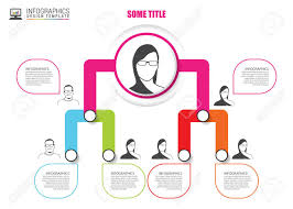 Organization Chart Infographics Design Infographics Vector
