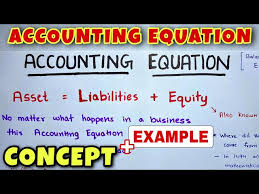 Accounting Equation Class 11 Ca