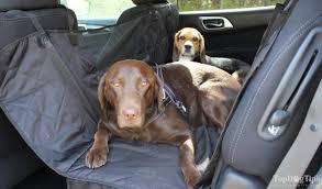 Dogs Dog Seat Covers Dog Kennel