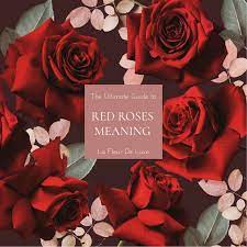 red roses meaning symbolism history