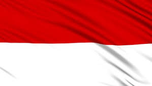 Hasil gambar untuk bendera indonesia.