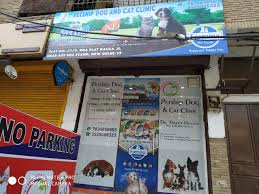 Please plan to park in the parking lot and call us when you arrive. Petship Dog Cat Clinic Pet Shops For Dog Book Appointment Online Pet Shops For Dog In Dda Flats Kalkaji Delhi Justdial