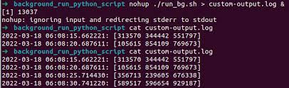 run a python script inside a virtual