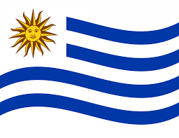 flag of uruguay flag