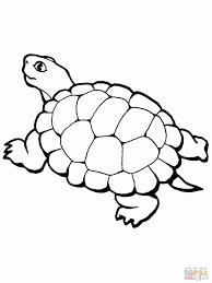 Set page margins to zero if you have trouble fitting the template on one page (file, page setup or file, printer setup in most browsers). Free Collection Of Tortoise And The Hare Coloring Page Coloring Pages Coloring Pages Library