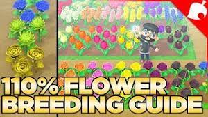 the full flower breeding guide for