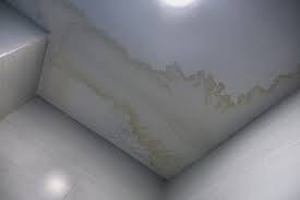 mold on bathroom ceiling wipe out with