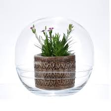 Large Glass Bowl With Lid Globe Shape