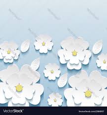 3d flowers sakura royalty free vector image