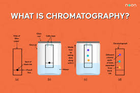 What Is Chromatography Noon Academy