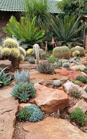 Desert Garden Decor Ideas