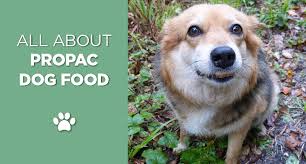 Pro Pac Dog Food Reviews Choose A Quality Doggy Dinner