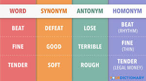 of antonyms synonyms and nyms