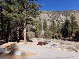 Our site 009 is at the end of a loop. Big Pine Creek Campground Inyo National Forest Recreation Gov