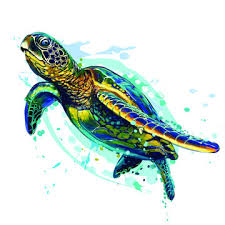 sea turtle realistic artistic