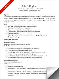 Marketing Director Resume Examples   Resume For Your Job Application Resume Target