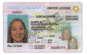 driver license renewals