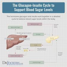Intravenous glucose is the most howell ma, guly h. Hypoglycemia Causes And Natural Solutions Drjockers Com