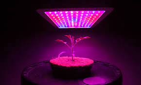 Maybe you would like to learn more about one of these? 10 Best Led Grow Lights For Growing Weed Green Rush Daily