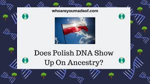 does polish dna show up on ancestry