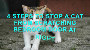 stop a cat from scratching bedroom door