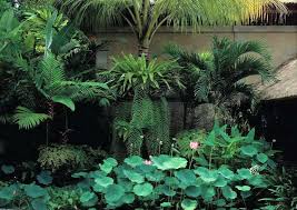 Naples Botanical Garden Bali Tour