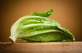 romaine lettuce nutrition facts