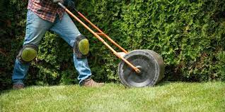 Lawn rolling can help flatten a bumpy lawn, address mole and ant hill problems, help new seeds germinate, and even assist with lawn stripe patterns for that sports you certainly don't want to go too heavy otherwise you'll risk damaging your lawn even further. 8 Best Lawn Rollers To Buy In 2021 Yard Surfer