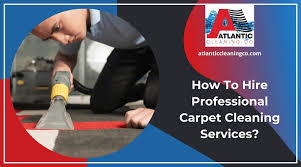 hire professional carpet cleaning