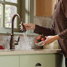 moen 7185 kitchen faucet