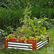 Here S Why Raised Garden Beds Are A