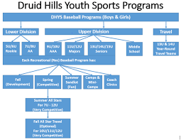 Baseball Programs Druid Hills Youth Sports