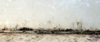 Getting Rid Of Damp And Mould